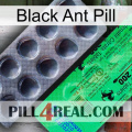 Black Ant Pill new04.jpg